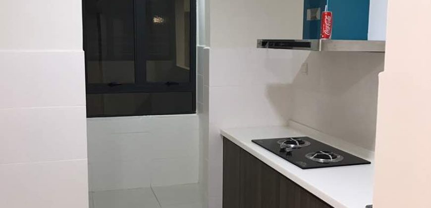 Maisson ara damansara  fully furnished sale