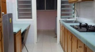 Kelana puteri  semi-furnished rent