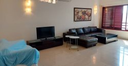 Surian condominium  fully furnished sale