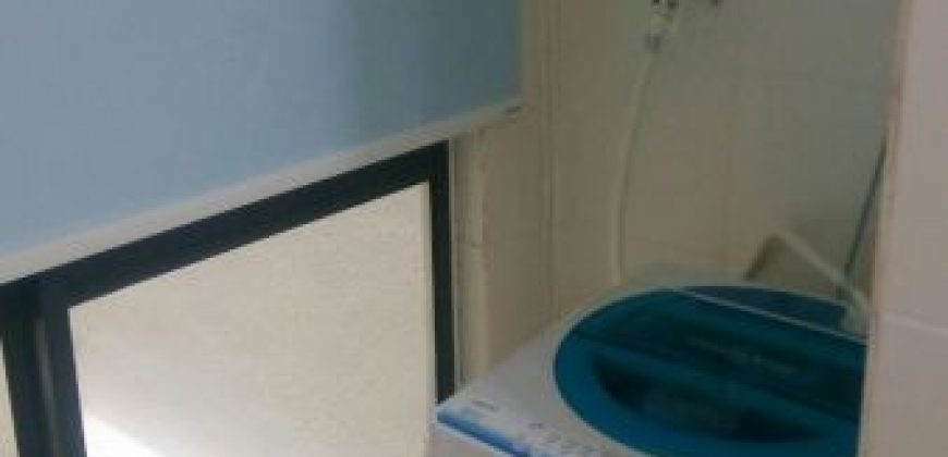 Maisson ara damansara  fully furnished rent