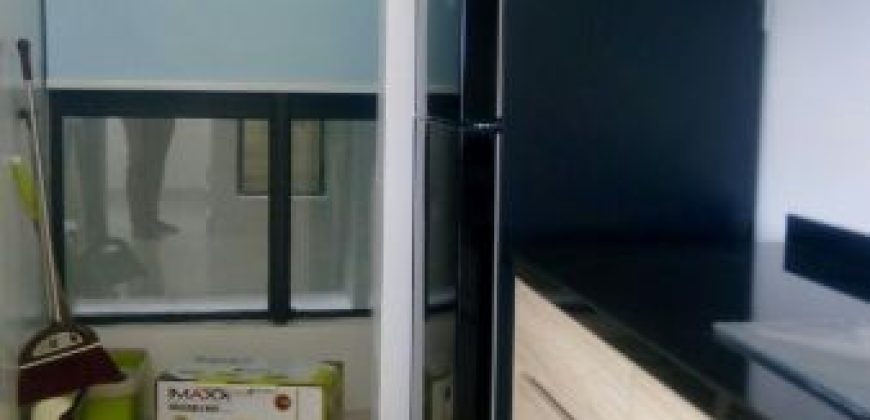 Maisson ara damansara  fully furnished rent