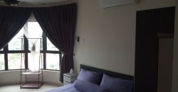 Maisson ara damansara  semi-furnished rent