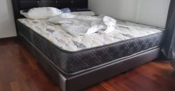 Pj midtown  fully furnished rent