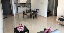 Pj midtown  fully furnished rent